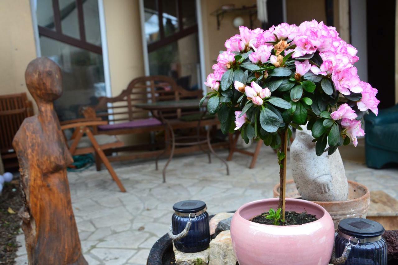 Art Styles Boutique Apartment Szentendre Esterno foto